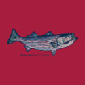 Painted Striper – LC-FB (19-1280)