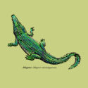 Painted Gator – LC-FB (19-1315)