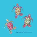 Painted Baby Turtles – LC-FB (19-1316)